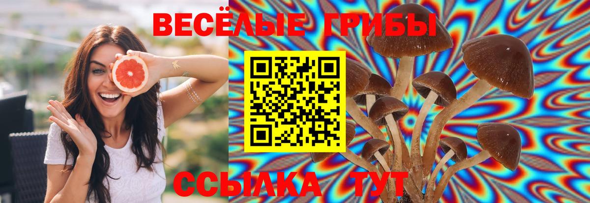 Галлюциногенные грибы Cubensis  Вход с VPN  Десногорск  Псилоцибиновые грибы Psilocybine cubensis 