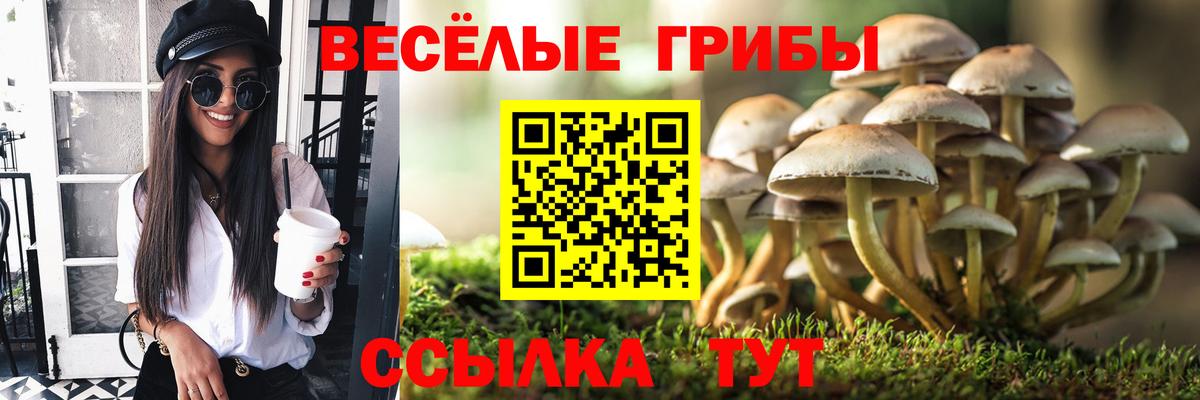 Псилоцибиновые грибы мухоморы Десногорск