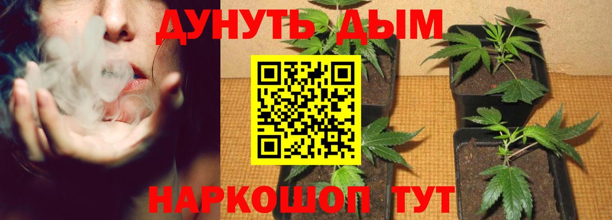 МАРИХУАНА LSD WEED  Каннабис MAZAR  Вход с VPN  Десногорск  Конопля конопля  Канабис White Widow 